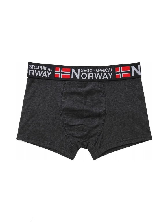 Bokserki Geographical Norway GN-05 A'3 (3)